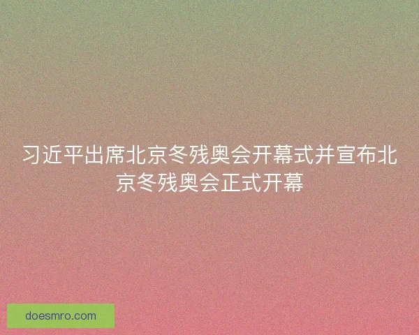 习近平出席北京冬残奥会开幕式并宣布北京冬残奥会正式开幕 习近平出席北京冬残奥会开幕式并宣布北京冬残奥会正式开幕